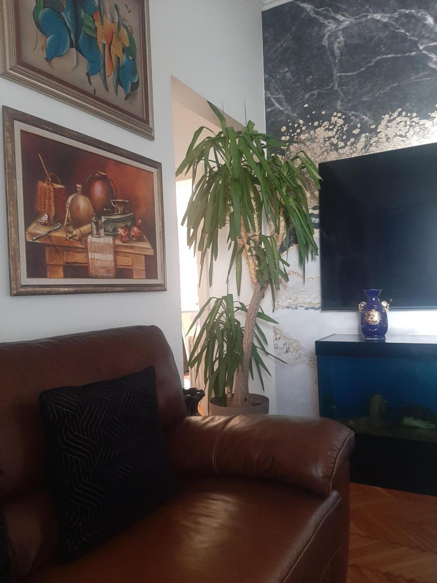 Appartamento Stylish King Downtown Podgorica Esterno foto